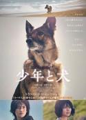 海报